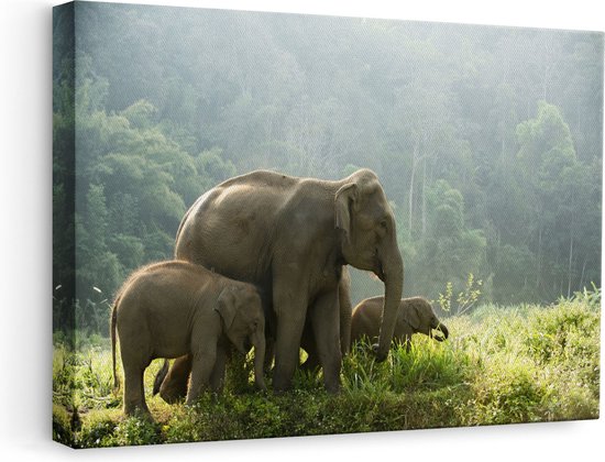 Artaza Canvas Schilderij Olifanten Familie in de Jungle - Olifant - 60x40 - Foto Op Canvas - Canvas Print