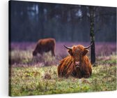 Artaza Canvas Schilderij Schotse Hooglanders in de Weide - 120x80 - Groot - Foto Op Canvas - Wanddecoratie Woonkamer
