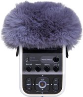 Roland R07-WS Mic Screen