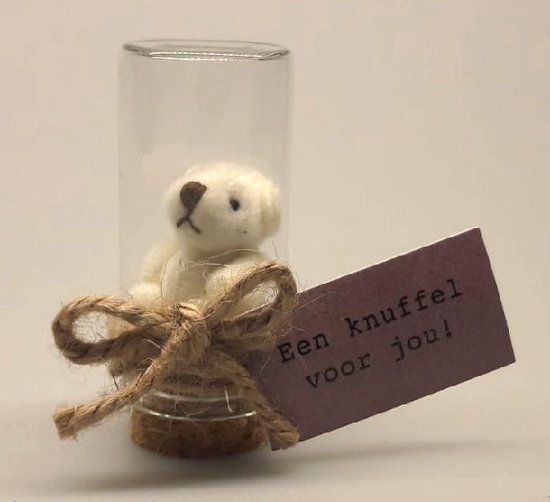 Een knuffel voor jou! Dit schattige beertje maakt deze boodschap nog specialer. Het mini knuffel beertje zit in een glazen stolpje circa 6 cm hoog op een kurk. Een speciaal geschenk wat het hele jaar door gegeven kan worden.