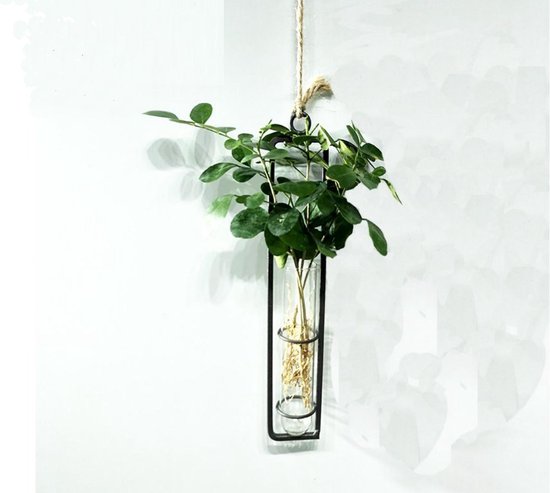 DWIH - Minimalistische Plantenhanger Hydrocultuur Woondecoratie- stekjes -  Moderne... | bol.com