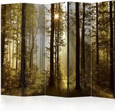 Vouwscherm - Forest: Morning Sunlight  II [Room Dividers]