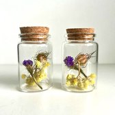 Droogbloemen in glas met kruk | Set van 2 glazen flesjes | Dried flowers | Gedroogde bloemen | Ø4,7 x 7,8 cm