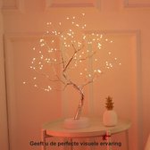 Fair Business Bonsai Boom Lampje - Decoratie - Led Lampjes - Cadeau - Nachtlamp - Feestelijk - Verlichting - Wonen - Lamp - Sfeerlicht - verjaardag cadeau - Nederland - België - Pa