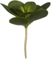kunstplant Hoja Redonda 14 x 25 cm groen