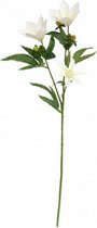 kunstbloem Vara Pasiflora 15 x 15 x 67 cm wit/groen