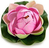 waterlelie Lotus 10 x 6 cm EVA roze/groen