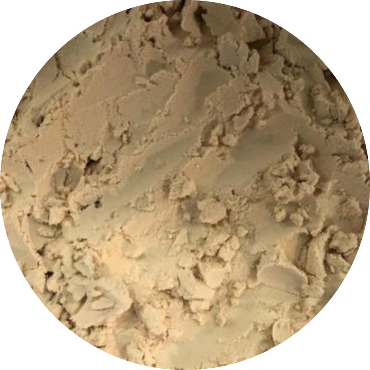 Goedkoopste Van Beekum Specerijen - Soja Poeder - 20 KG - Zak (bulk verpakking