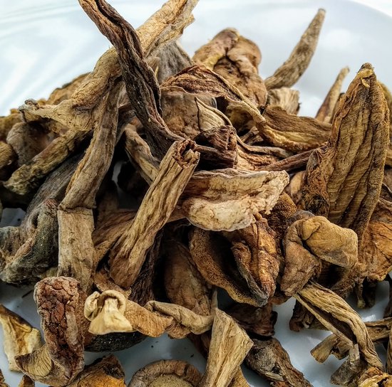 Gedroogd Eekhoorntjesbrood 75 Gram Porcini Nootachtige smaak