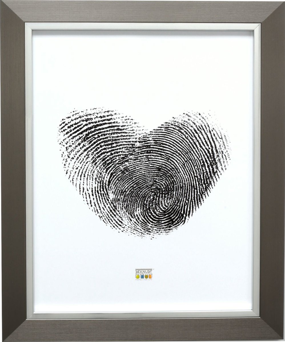 Deknudt Frames fotolijst S41ND1 - zilver met zilverbies - 40x50 cm