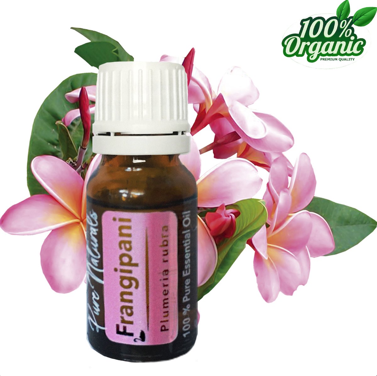 Frangipani (Plumeria) 100% Pure, Perfect Essential Oil from Bali, 10 ml