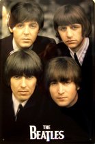 Wandbord - Portret The Beatles -20x30xcm-