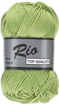 Lammy yarns Rio katoen garen - appel groen (046) - naald 3 a 3,5mm - 5 bollen