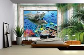 Dolphins Fish Photo Wallcovering