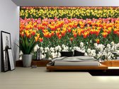 Field Of Flowers Photo Wallcovering