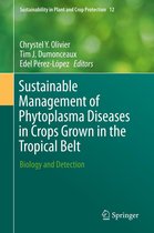 Sustainability in Plant and Crop Protection 12 - Sustainable Management of Phytoplasma Diseases in Crops Grown in the Tropical Belt