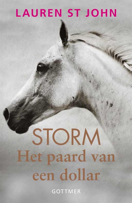 Storm 1 - Het paard van een dollar - cover