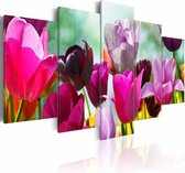 Schilderij - Vrolijke bloemen , roze paars , 5 luik