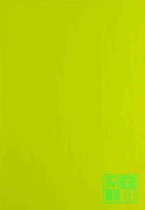 Cadeaupapier Lime Groen 62382- Breedte 50 cm - m lang - Breedte 50  cm