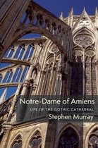 Notre–Dame of Amiens – Life of the Gothic Cathedral