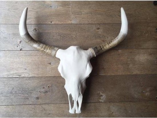 Vtw Living - Skull - Buffelschedel - Dierenhoofd - Wit - 80 cm hoog