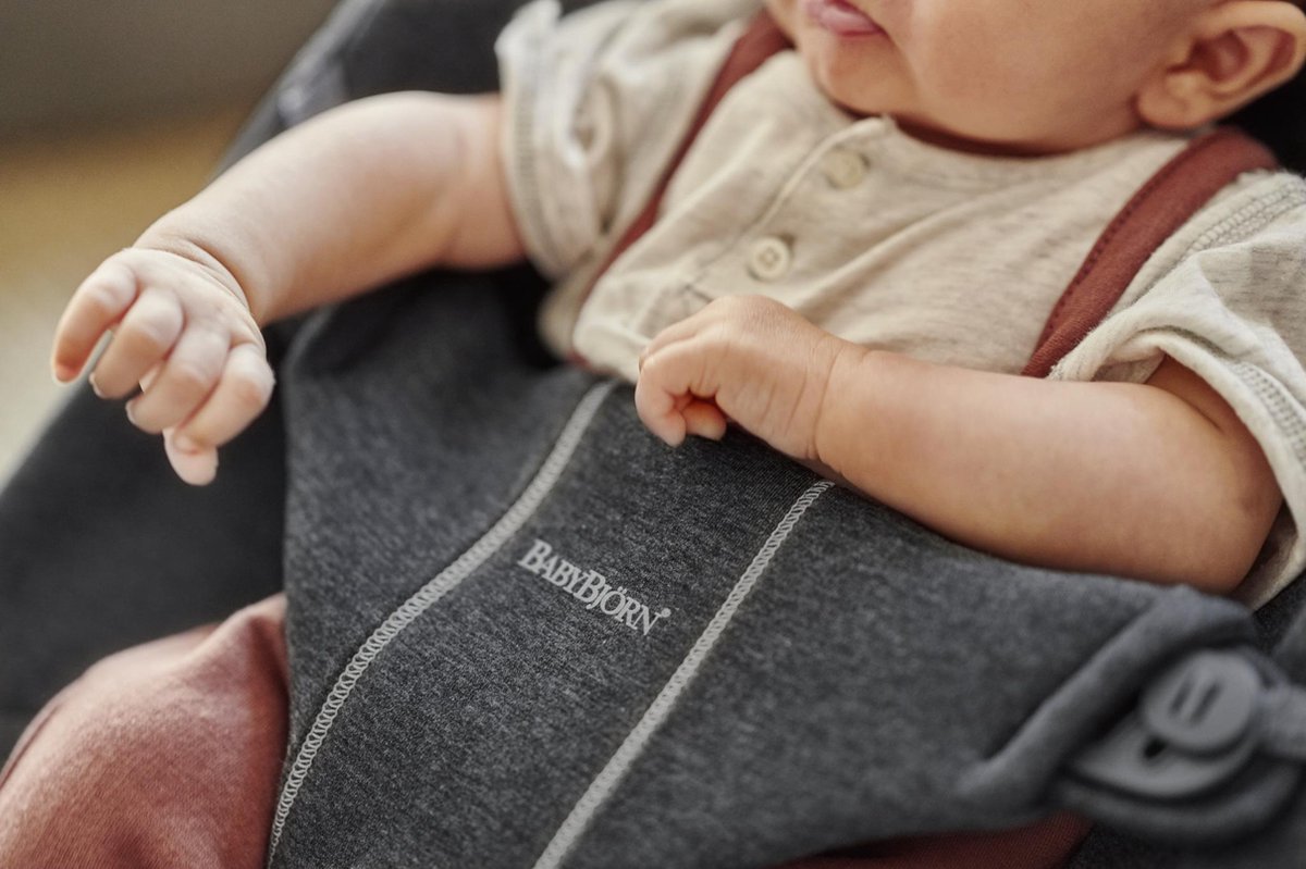 BabyBjorn BabyBjörn Wipstoel Bliss - 3D Jersey - Houtskoolgrijs thumbnail 2
