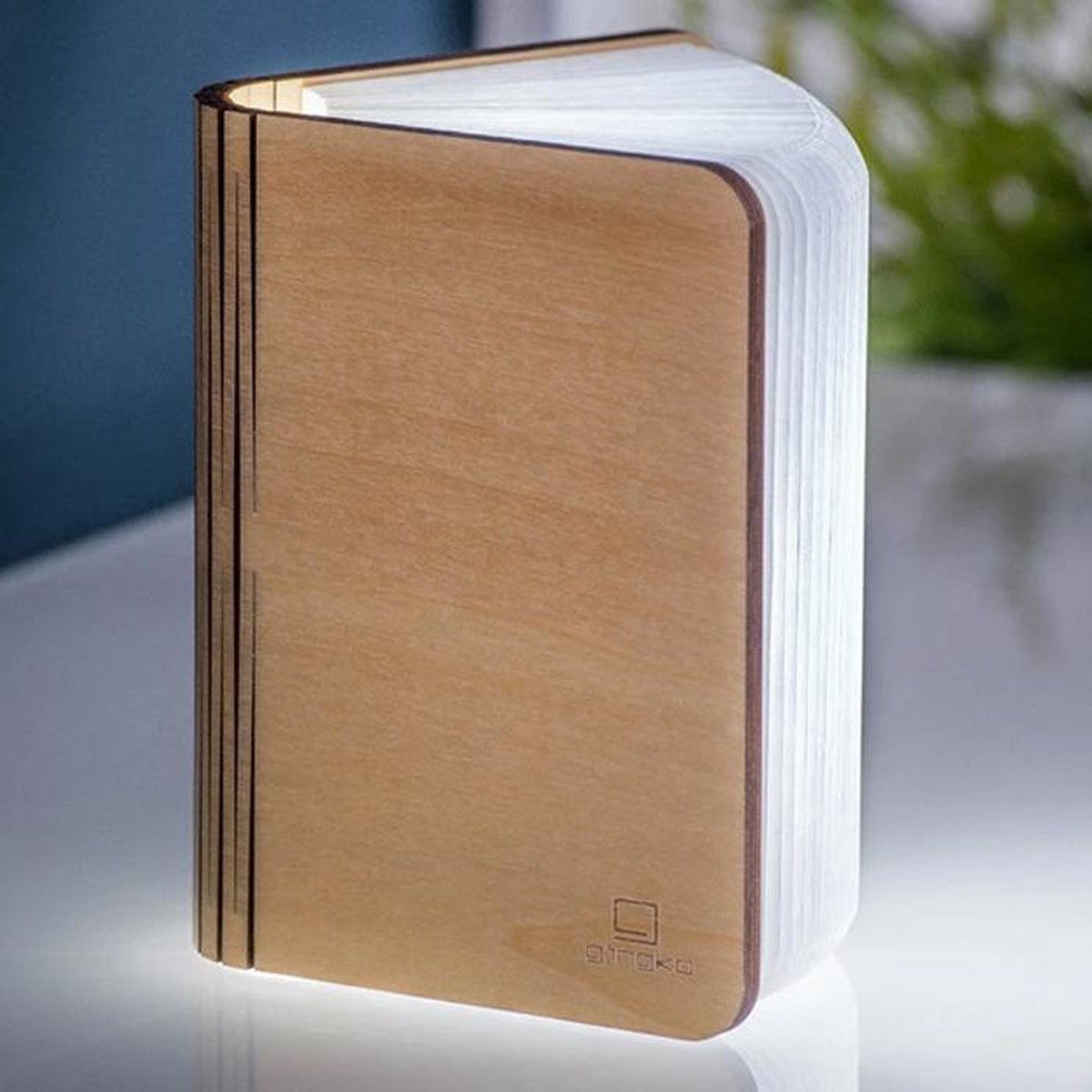 Gingko - Smart LED Book Light Mini Lamp - esdoorn hout