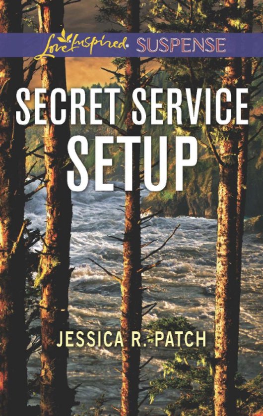 The Security Specialists 2 - Secret Service Setup (The Security Specialists, Book 2) (Mills & Boon Love Inspired Suspense)