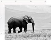 Tuinposter Olifant Bergen Grijs | 150 x 100 cm | PosterGuru