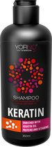 Dode zee producten - Professionele herstellende shampoo met Dode Zeezout mineralen, Keratine en arganolie Yofing 350 ml