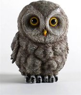 Hibou gris 14x19