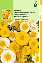 2 stuks Chrysanthemum Coronarium Dubbelbloemig Gemengd
