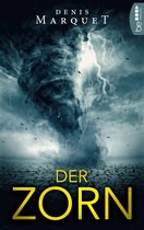 Omslag Der Zorn