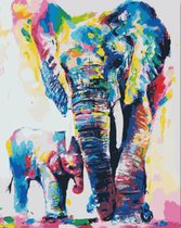 Gekleurde Olifanten Schilderen op Nummer Volwassenen & Kinderen met Frame – Paint By Number met Canvas Schildersdoek 40x50 & Acrylverf