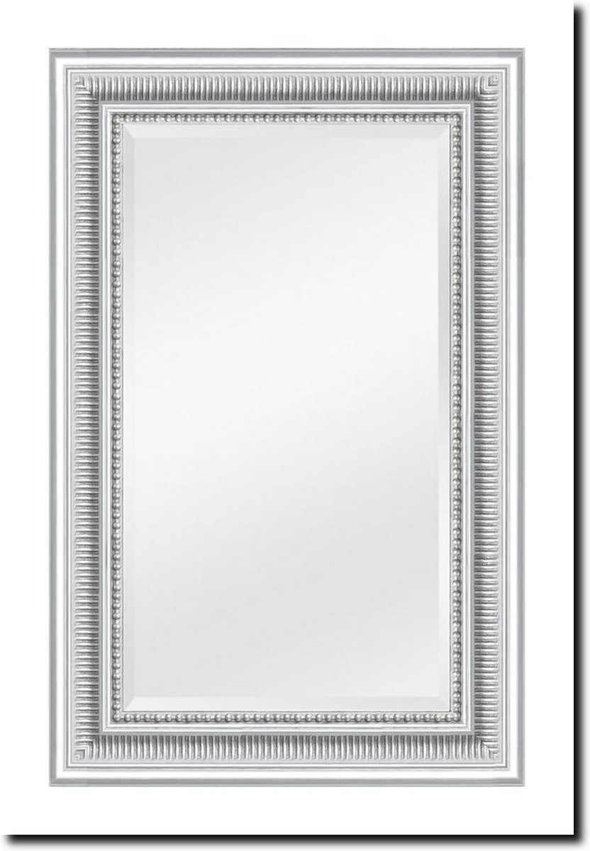 Spiegel Cesarino Zilver Buitenmaat 75x106cm