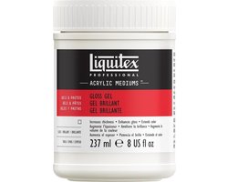 Liquitex Professional Glans Gel Medium 237 ml – Acryl Additief, Glansversterker, Volumevergroting & Consistentie Verdikken