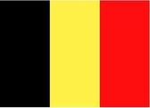 20x Binnen en buiten stickers Belgie 10 cm -  Belgische vlag stickers - Supporter feestartikelen - Landen decoratie en versieringen