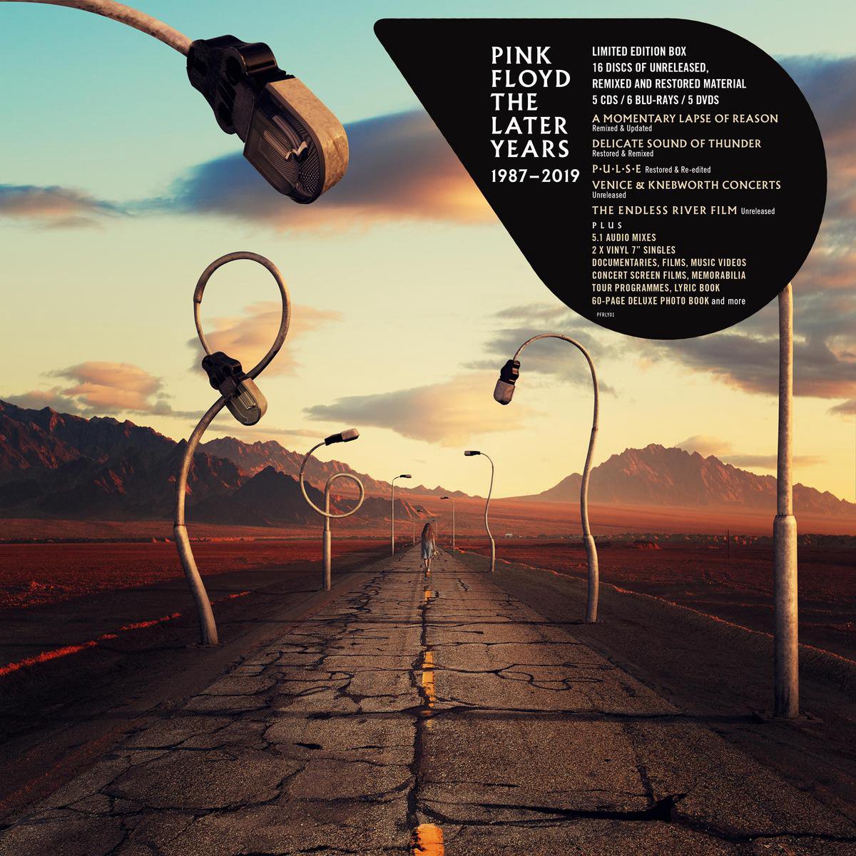 Pink Floyd Dark Side Of The Moon Immersion Rar