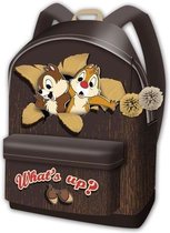 Disney Rugzak Chip n Dale Whats up