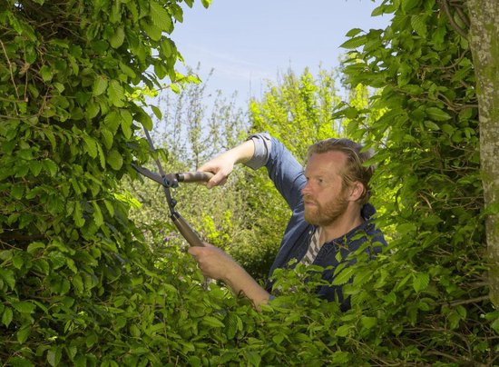 GARDENA NatureCut Heggenschaar Promotie - Robuust van GARDENA — afbeelding 4