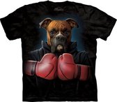 T-shirt Boxer Rocky