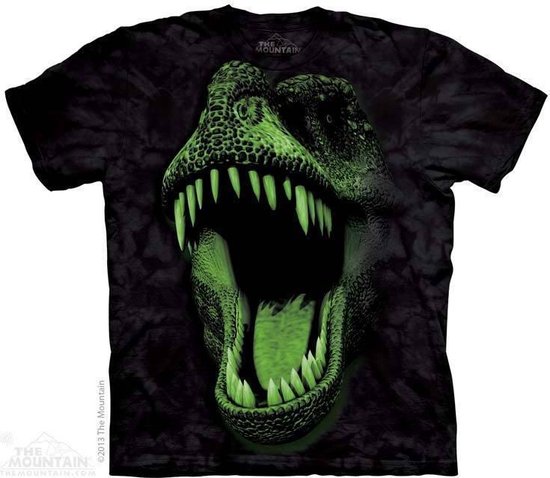 Dinosaurus kleding - T-shirt - Big Face Glow Rex