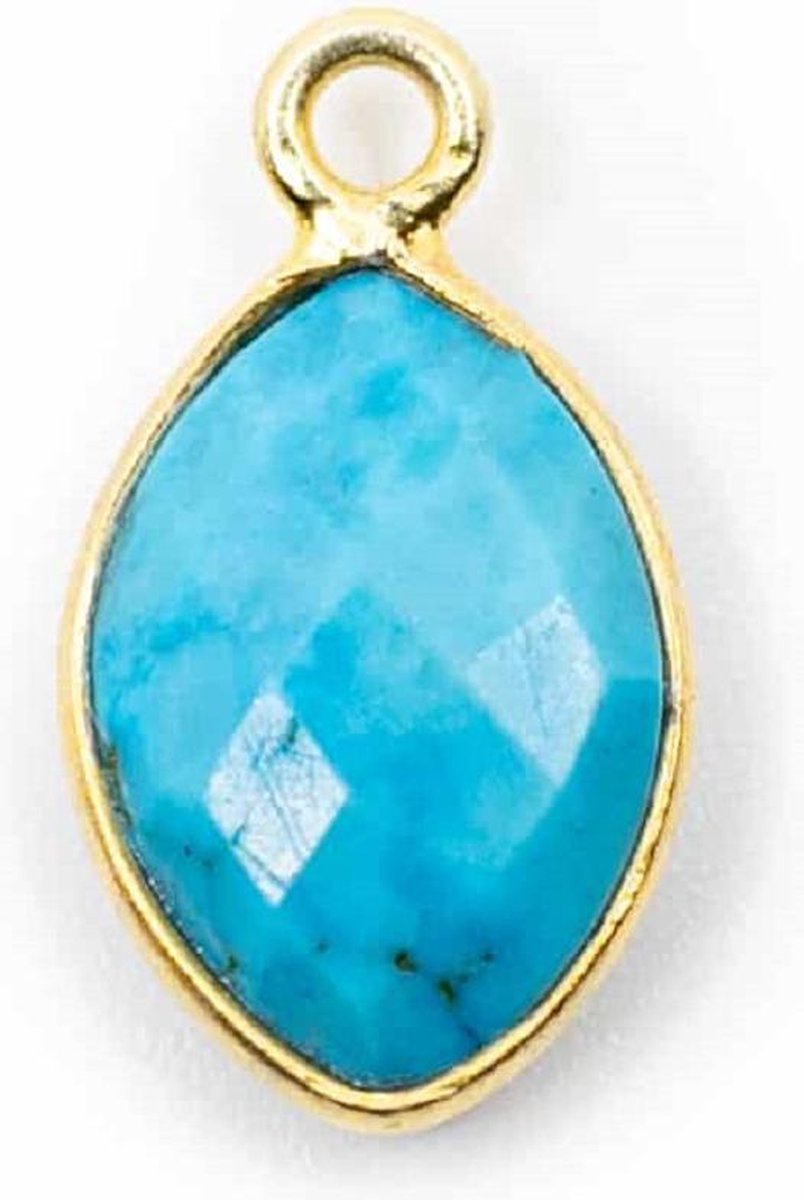 Geboortesteen Hanger December Turkoois 925 Zilver & Verguld (12 mm)