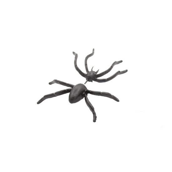 Zoëies oorbel met zwarte spin