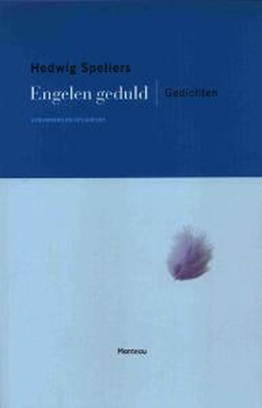 Cover van het boek 'Engelen geduld'