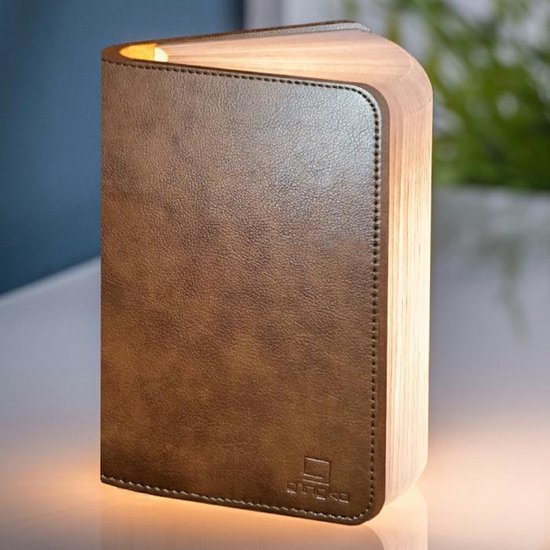 Gingko - Lumière atmosphérique - Smart Book Light - Cuir marron - petit