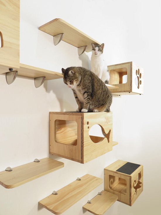 Riet Verwaand bijwoord Katten klimmuur set – CatsClimber by Catswall Design | bol.com