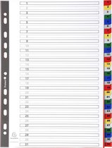 20x Tabbladen met bedrukte tabs in gekleurde PP - 31 tabs - 1 tot 31 - A4
