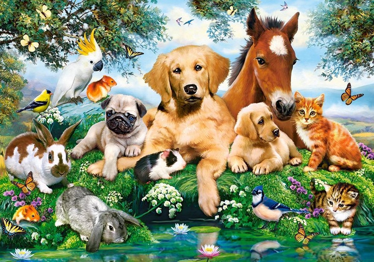 Castorland Summer Pals – Puzzel – 500 stukjes – Satijnen afwerking – Perfecte pasvorm – Europese kwaliteit — afbeelding 2