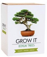 Cultivez votre propre bonsaï